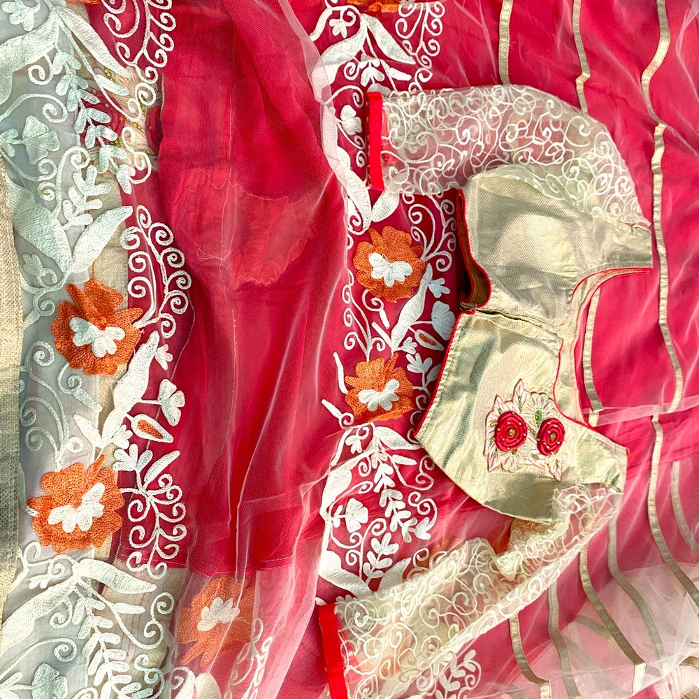 Party wear saree with kashmiri embroidery and comes with stitched padded blouse